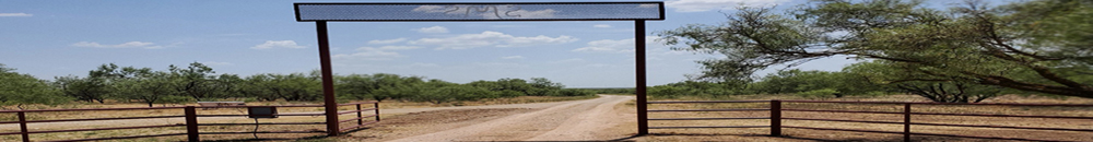 SMS Gate